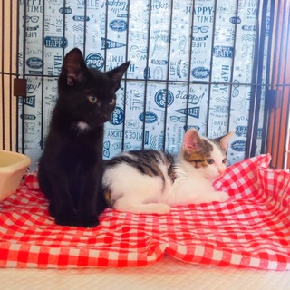 優しいママに出逢えることが出来ました❣️感謝❣️