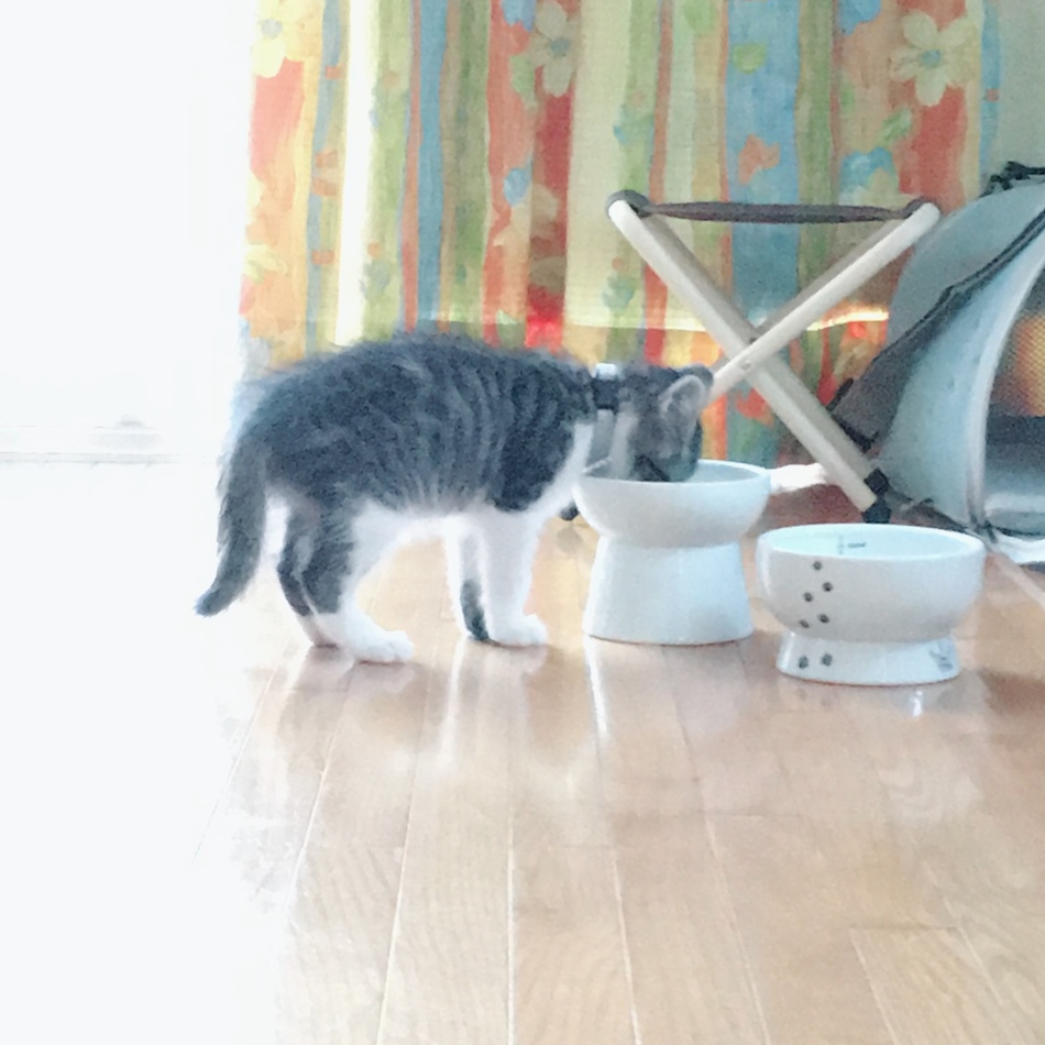 ミルのカバー写真