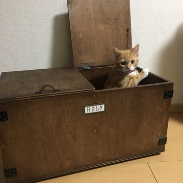 あれ？