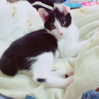 ララ
