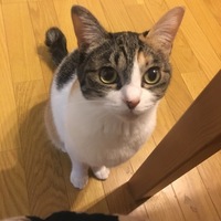 みぃ