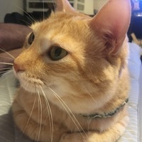 ふたば