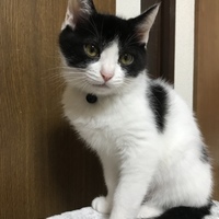みる