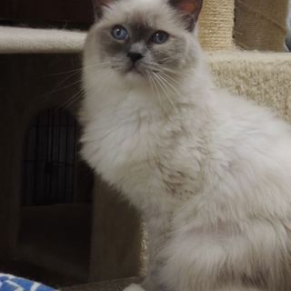 可愛いレイナちゃん