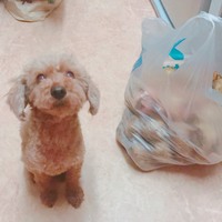 ナナ