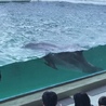 ゆーらりん