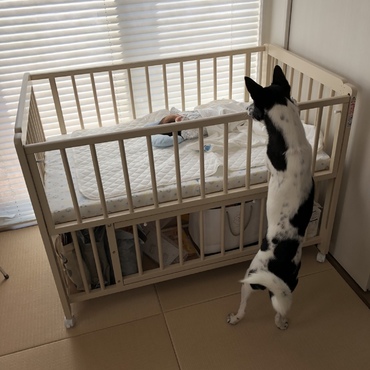 弟の面倒を見る姉です 笑