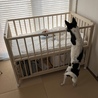 弟の面倒を見る姉です 笑