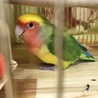 ゆうきゆうきゆうきゆうき