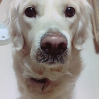 ハンナ