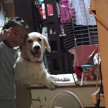 の写真