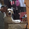 の写真