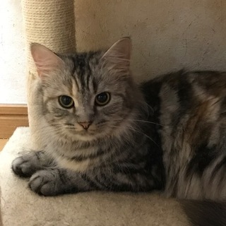 とっても穏やかでゴロすりちゃんです。