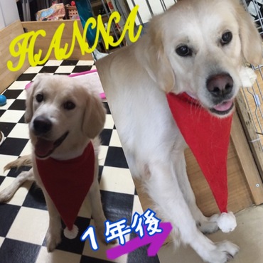 の写真