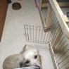 の写真