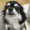 ふぅ0124