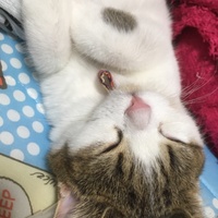 れお