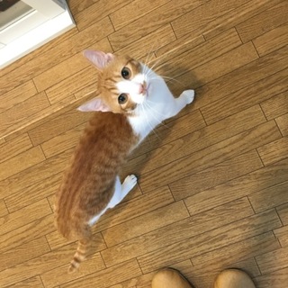 人が大好きなタラちゃん。