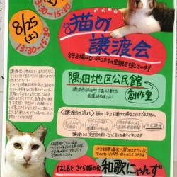 猫の譲渡会in橋本市♡はしもとさくら猫の会和歌にゃんず