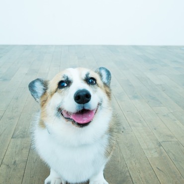 の写真