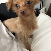 もんぞー