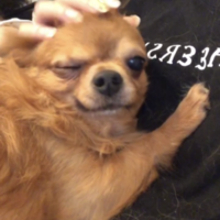 レオン