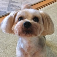チャーキー