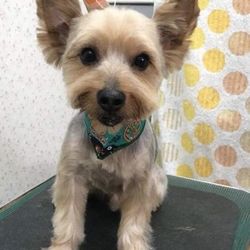 「もう3年..」サムネイル2