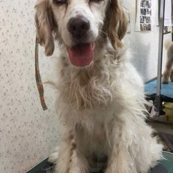 「もう3年..」サムネイル3