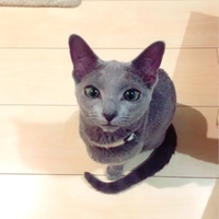 オリガ