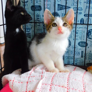 感謝します❣️素晴らしいママに出逢えました❣️