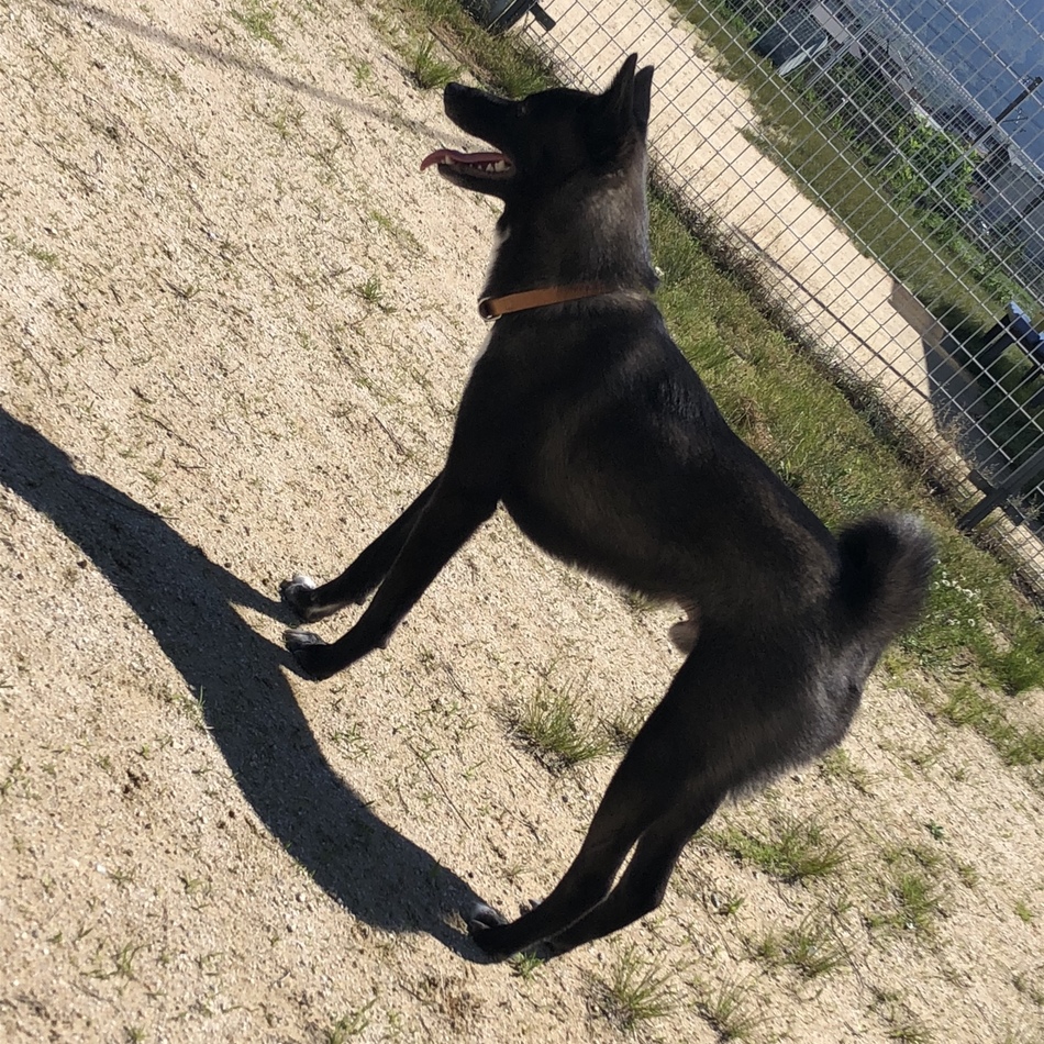 愛空のカバー写真