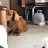 鼻しか隠れておらん笑笑