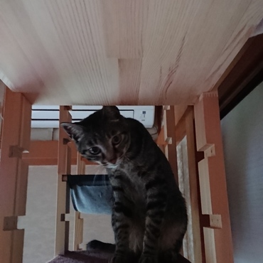 の写真