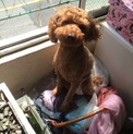 元気いっぱい甘えん坊です