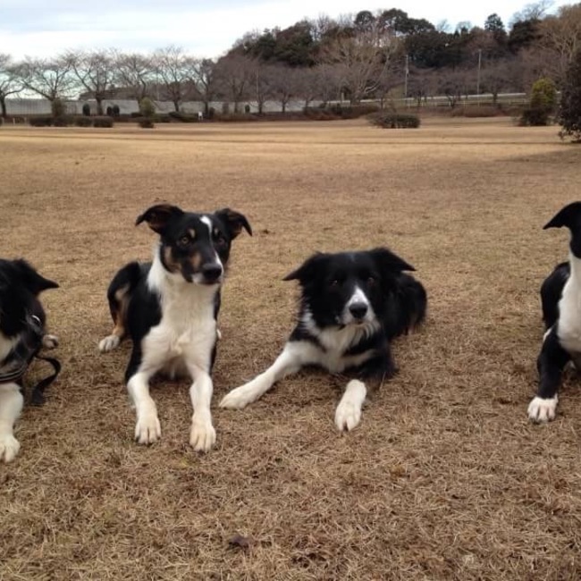 みち坊ちゃんママのカバー写真
