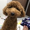 Coco1125
