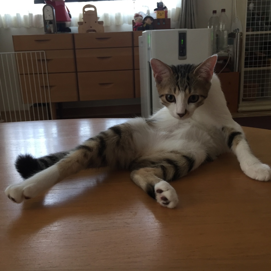 むぎのカバー写真
