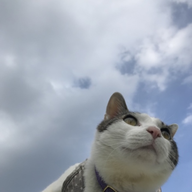 yu3koのカバー写真