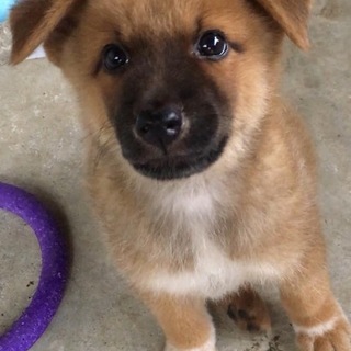 可愛いしげるくん☆2ヵ月