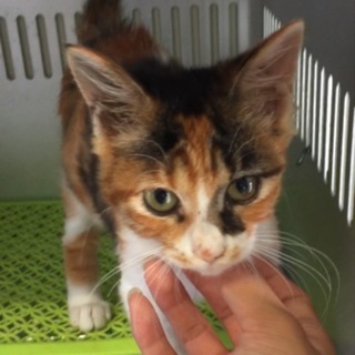 センターにお迎えがありました！有難うございました