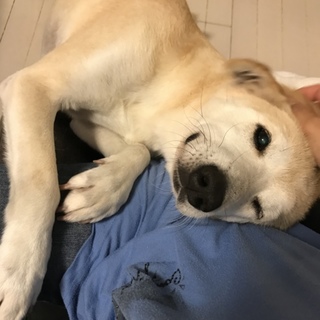 とっても甘えん坊な女の子です