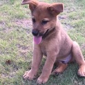 かわいいヤンチャな男の子！