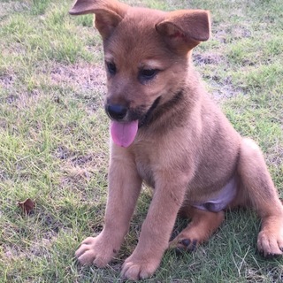 かわいいヤンチャな男の子！