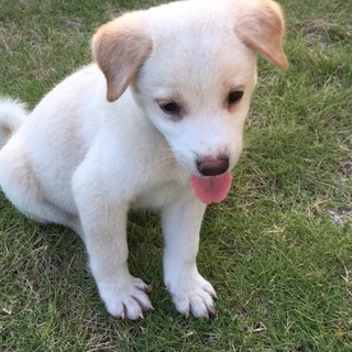 かわいい男の子！