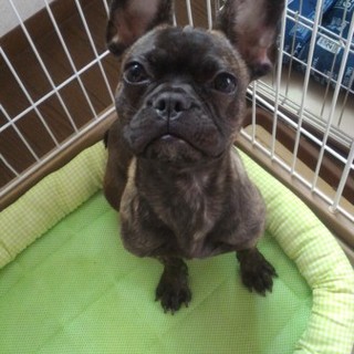 お問い合わせ多数の為、一時募集停止します。