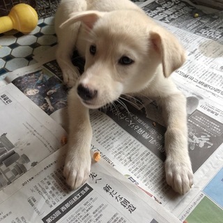 クリーム系可愛い女の子！