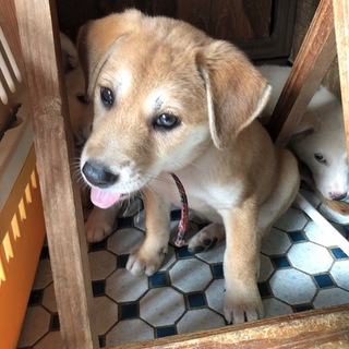 とても利口な女の子！