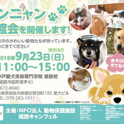 ワンニャン譲渡会