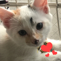 ❤️皆さまありがとうございました